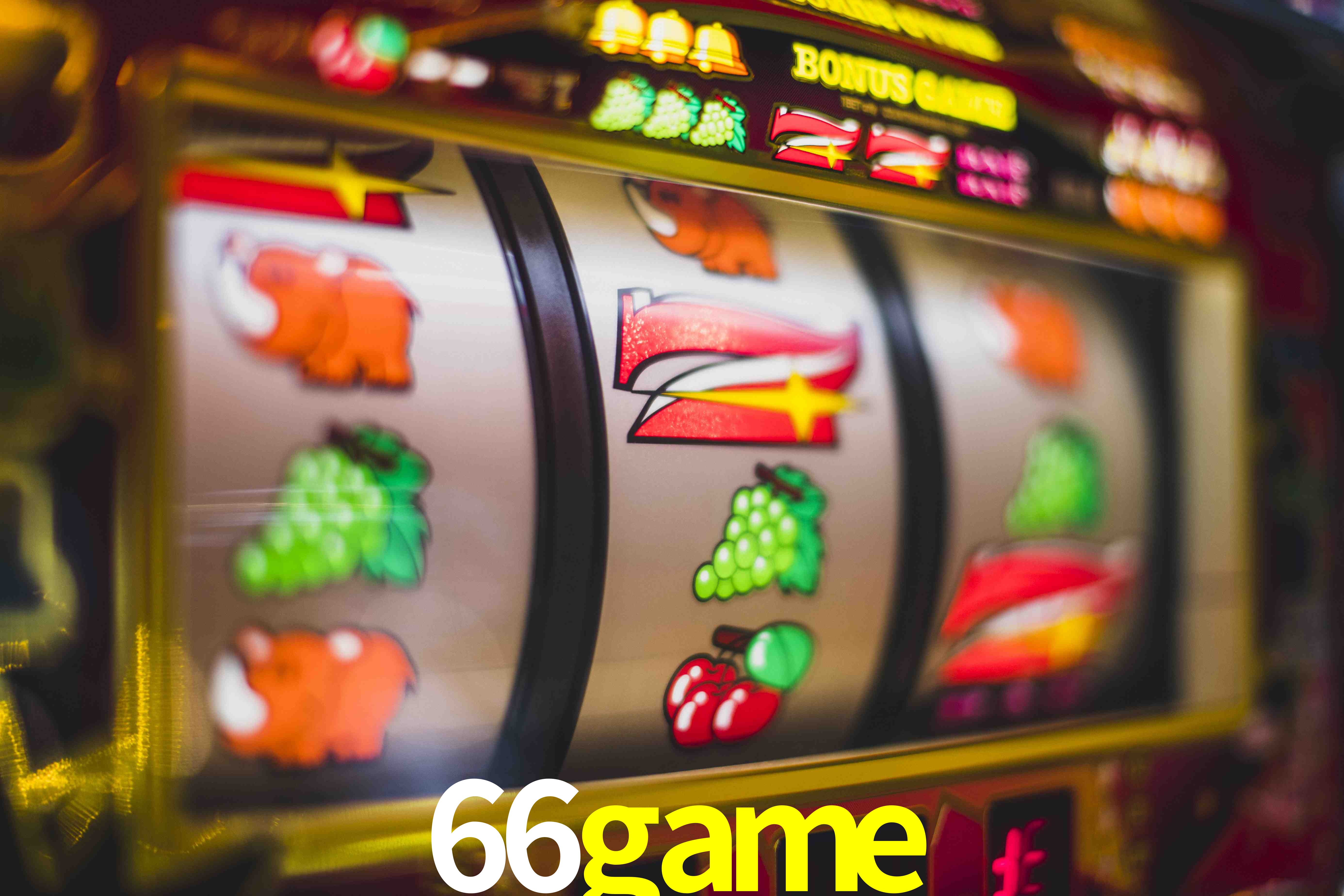 Live Casino 66game